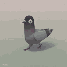 GIF
