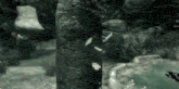 a black and white photo of a rocky area with a pool in the middle