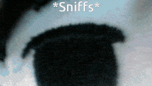 Sniffs GIF - Sniffs GIFs