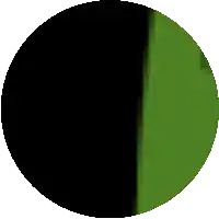 a black circle with a green stripe on it