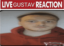 Gustav GIF - Gustav GIFs