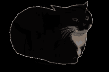 Spinning Cat Maxwell GIF - Spinning Cat Maxwell Maxwell The Cat GIFs