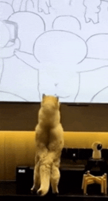 a cat standing on its hind legs in front of a large screen