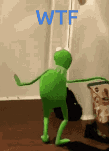 Dance Wtf GIF - Dance Wtf Wtf Is Going On GIFs