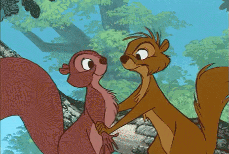 Squirrel Kisses GIF - Squirrel Animation Cartoon - Discover & Share GIFs