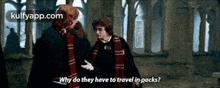 Why Do They Have To Travel In Packs?.Gif GIF - Why Do They Have To Travel In Packs? Harry Potter Q GIFs