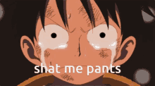 Shat Me Pants Luffy GIF - Shat Me Pants Luffy Anime GIFs