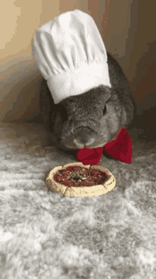 Bunny Pizza GIF - Bunny Pizza GIFs