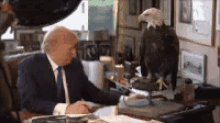 Trump Eagle GIF - Trump Eagle Murica GIFs