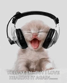 a kitten wearing headphones with its mouth open and yawning .
