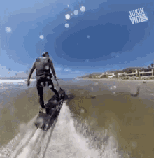 Surfing Water Jet GIF - Surfing Water Jet Going For A Ride GIFs