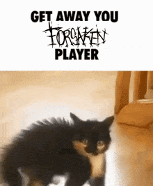 a black cat is standing in front of a sign that says forsaken player
