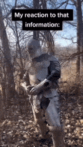 My Honest Reaction Knight GIF - My Honest Reaction Knight GIFs
