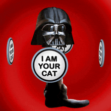 I Am Your Cat Darth Vader GIF