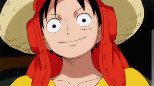232 One Piece Gifs  Gif Abyss