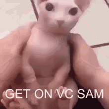 Get On GIF - Get On Vc GIFs