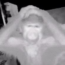a black and white photo of a monkey wearing a hat and holding its head .
