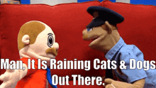 Sml Raining Cats And Dogs GIF - Sml Raining Cats And Dogs Brooklyn Guy GIFs