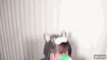 Wohat Funny GIF - Wohat Funny Cat GIFs