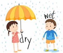Wet Vs Dry GIF