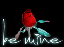 Ck3 Be Mine GIF - Ck3 Be Mine Red Rose GIFs