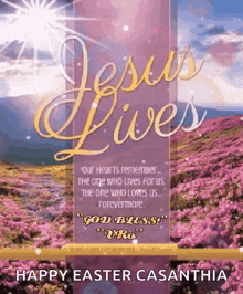 a happy easter casanthia greeting card with jesus lives