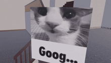 a black and white photo of a cat with the word goog written on it