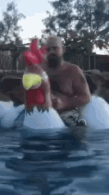 abcdefg swim chicken inflatable
