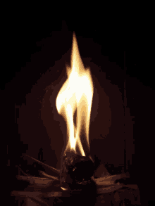 Feuer Fire GIF - Feuer Fire Kamin GIFs
