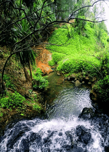 Waterfalls Nature GIF