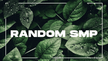 a picture of green leaves with the words random smp in white letters