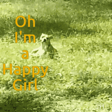 Oh Im A Happy Girl Happy Dog GIF - Oh Im A Happy Girl Happy Dog Grassy Dog GIFs