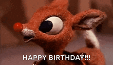 a stuffed animal with a red nose is saying `` happy birthday '' .