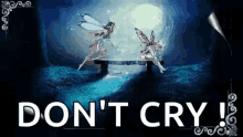 Fairies Flying GIF - Fairies Flying Dont Cry GIFs