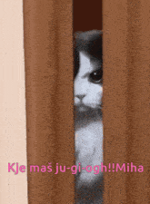 Miha Jernej GIF - Miha Jernej GIFs