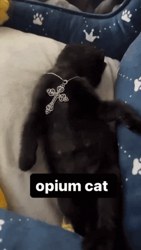 untitled.gif
