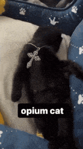 Opium Cat GIF