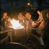 Campfire Camping GIF - Campfire Fire Camping GIFs
