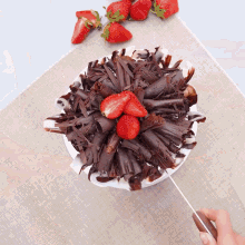 a person is cutting a cake with chocolate shavings and strawberries