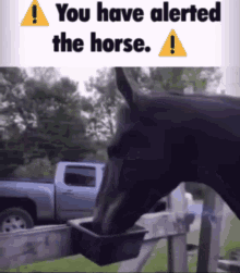 You Have Alerted The Horse Bruh GIF