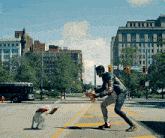 a man and a dog are crossing a street with a bus in the background that says astra