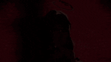 a woman with long hair is standing in front of a red background with dots