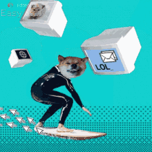 Surf Dogecoin GIF