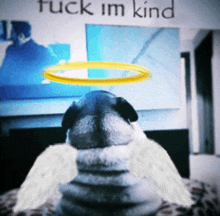 a picture of a pug with angel wings and a halo says fuck im kind