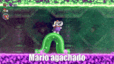 Mario Agachado Super Mario Wonder GIF - Mario Agachado Super Mario Wonder Condrop GIFs