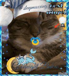 Josie The Cat Eaveel GIF - Josie The Cat Eaveel Goodnight GIFs