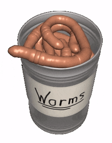 can of worms