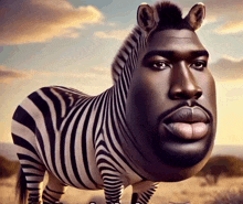 a zebra with a man 's face on it 's back