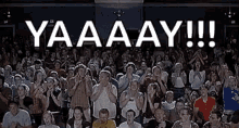 Yes Cheers GIF - Yes Cheers Standing Ovation GIFs
