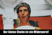 Chelm Schelm GIF - Chelm Schelm Widerporst GIFs